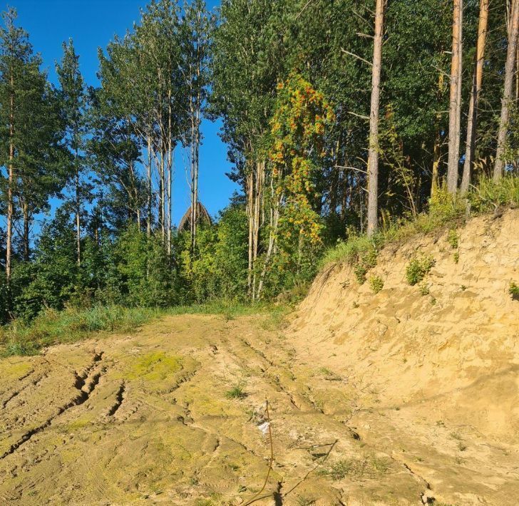 земля р-н Всеволожский д Мендсары ул Спортивная Бугровское городское поселение, Парнас фото 5