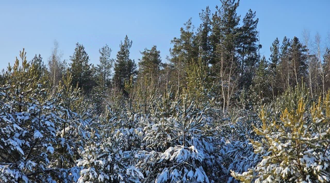 земля р-н Арский с Казанбаш ул Татарстан Урнякское с/пос фото 1