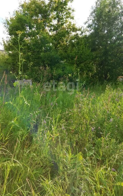 земля р-н Искитимский п Мичуринский сельсовет, 5/29, садовое товарищество Авиатор фото 4