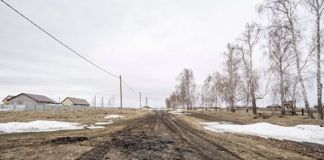 ул Александрийская Малошильнинское с/пос фото