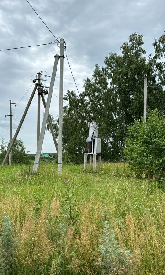 земля р-н Искитимский с Сосновка Бердск фото 8