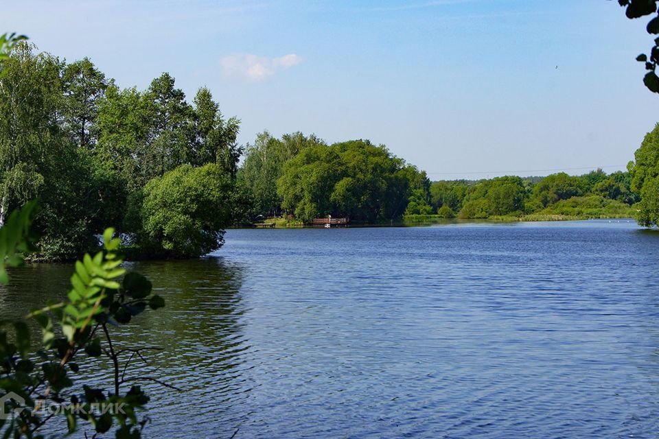 земля городской округ Раменский коттеджный посёлок Великие Озёра, аллея Победы фото 4