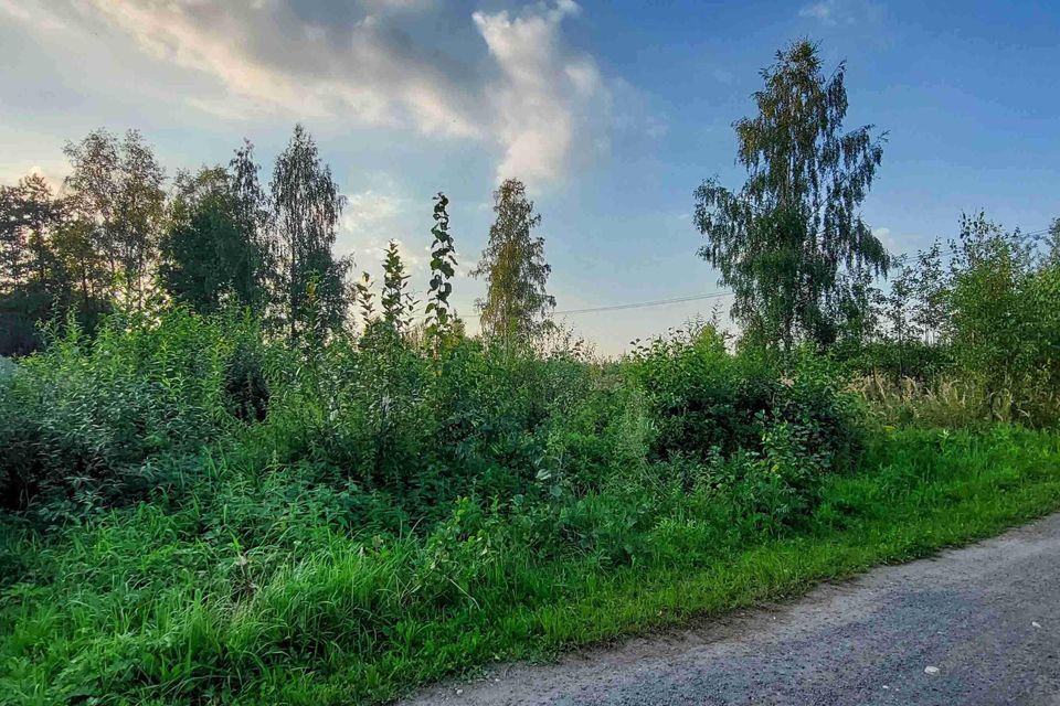 земля городской округ Богородский село Новосергиево фото 3