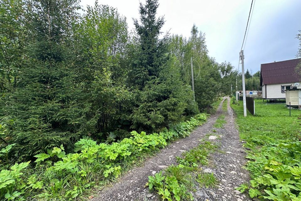 земля городской округ Сергиево-Посадский СНТ Кузьминки фото 2