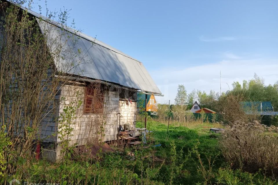 земля городской округ Чехов СНТ Наука-4 фото 3