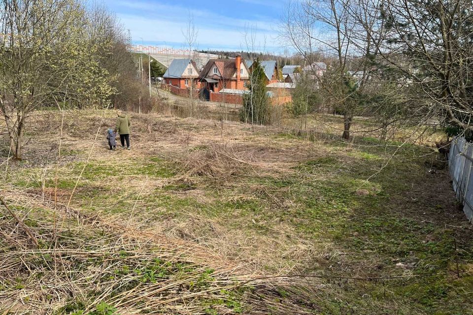 земля городской округ Пушкинский деревня Ординово фото 2