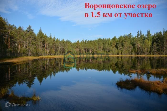 земля р-н Выборгский фото 10