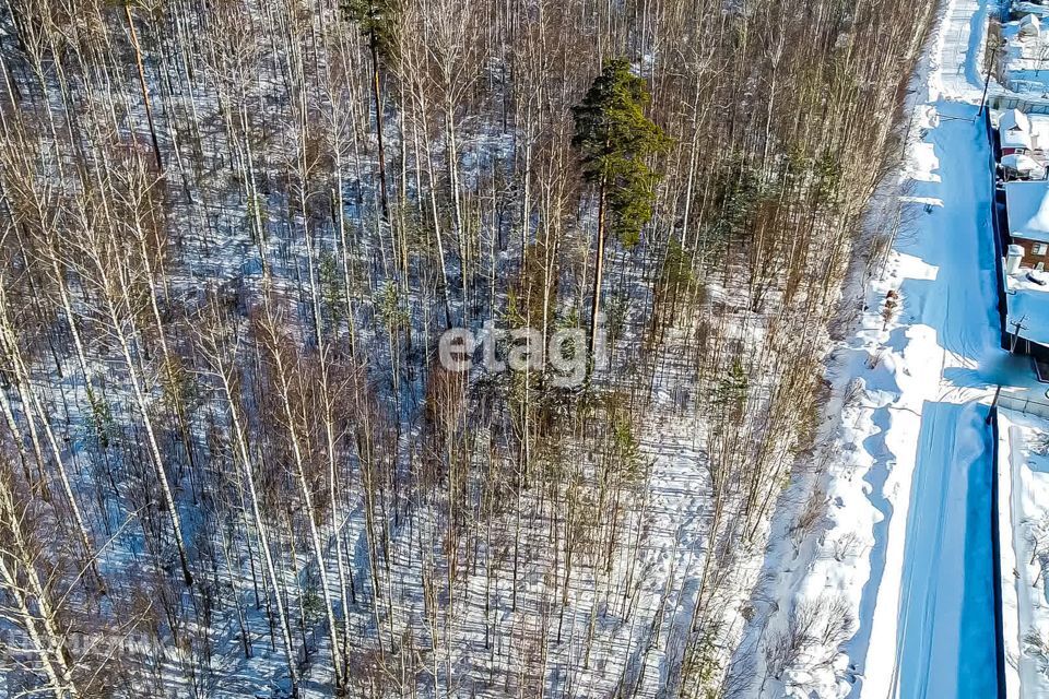 земля р-н Всеволожский п Дунай СНТ Светлана-2 массив Дунай фото 6