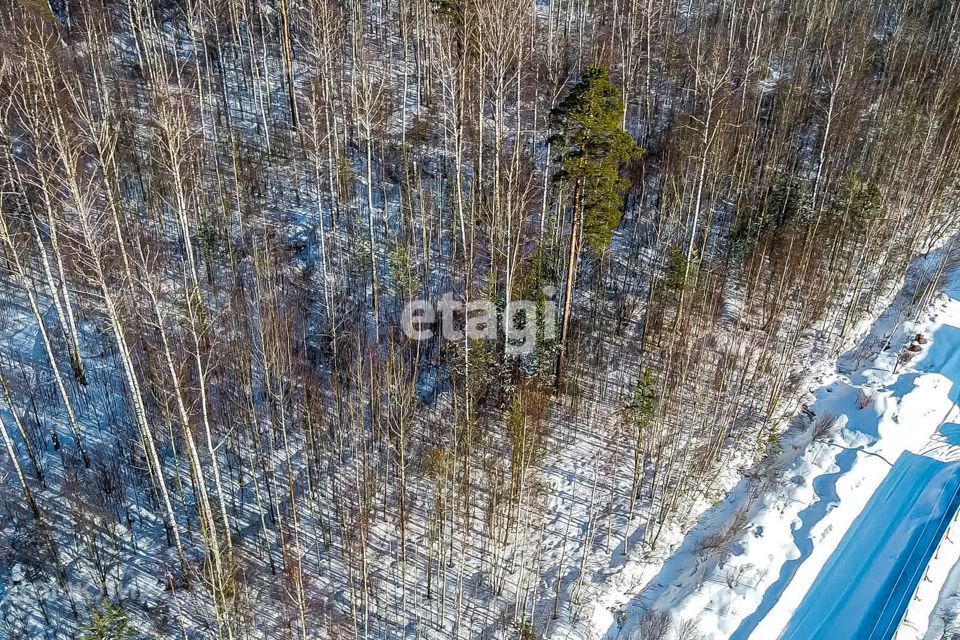 земля р-н Всеволожский п Дунай СНТ Светлана-2 массив Дунай фото 5