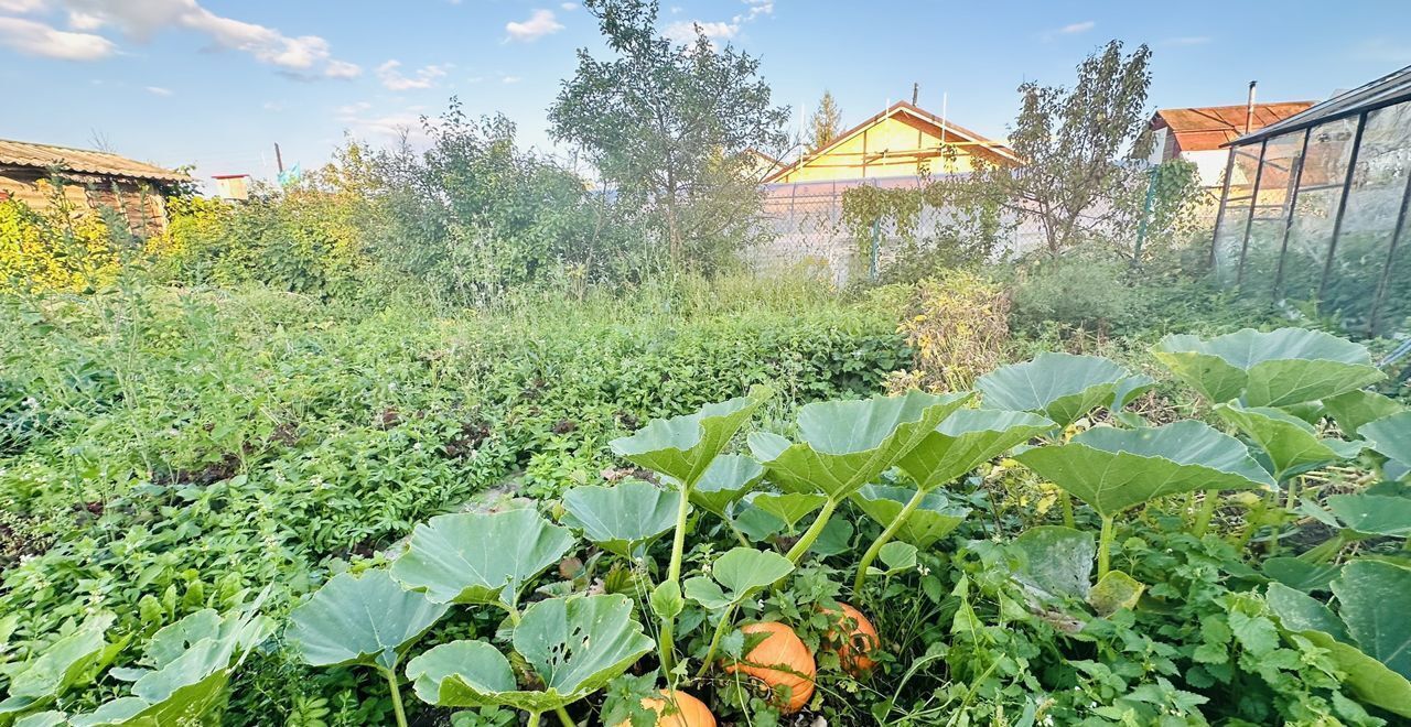 дом р-н Новгородский рп Панковка Панковское городское поселение, садоводческий массив № 3, Цветочная ул фото 10