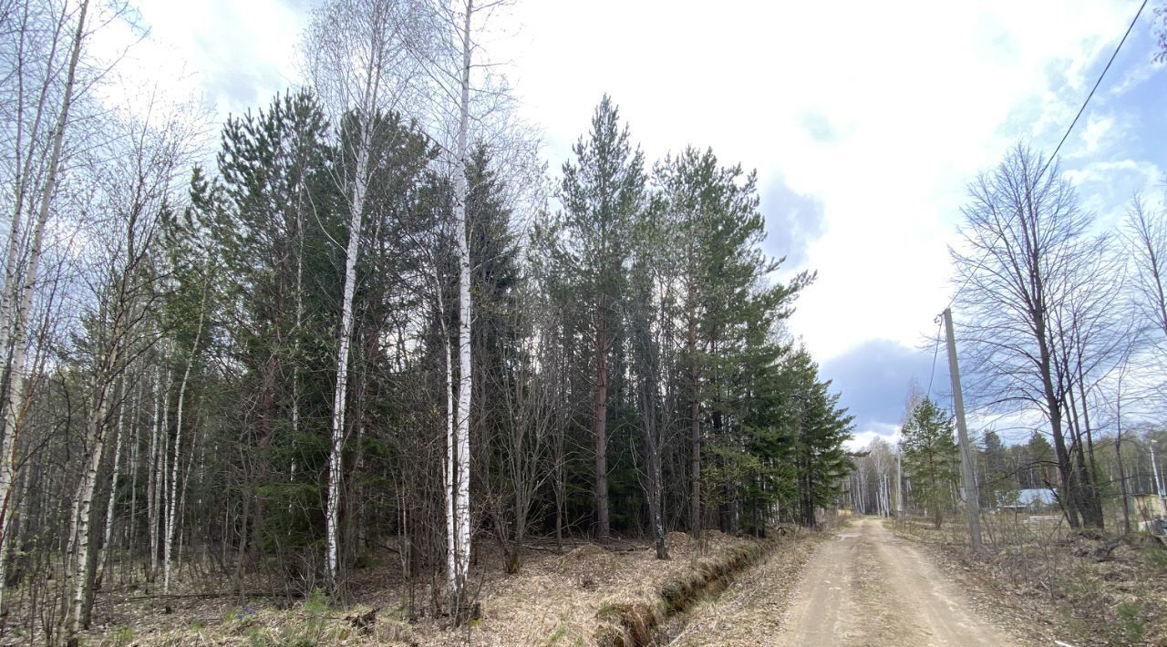 земля г Асбест снт Меркурий 88, Березовский городской округ фото 3