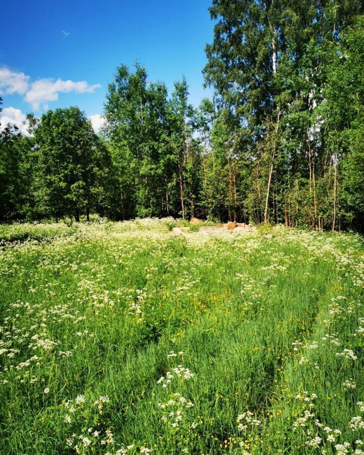 земля р-н Выборгский г Каменногорск Трасса Сортавала, 110 км, Каменногорское городское поселение фото 2