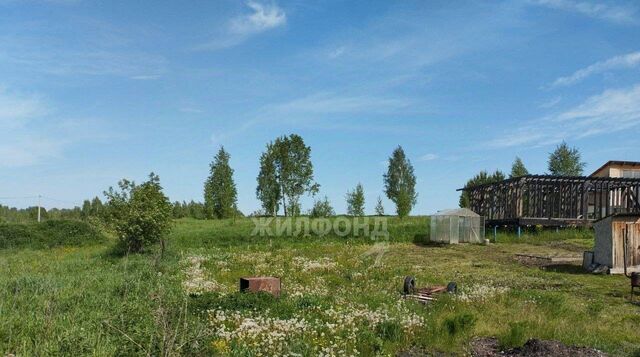 земля ул Страна Советов Каменский сельсовет фото