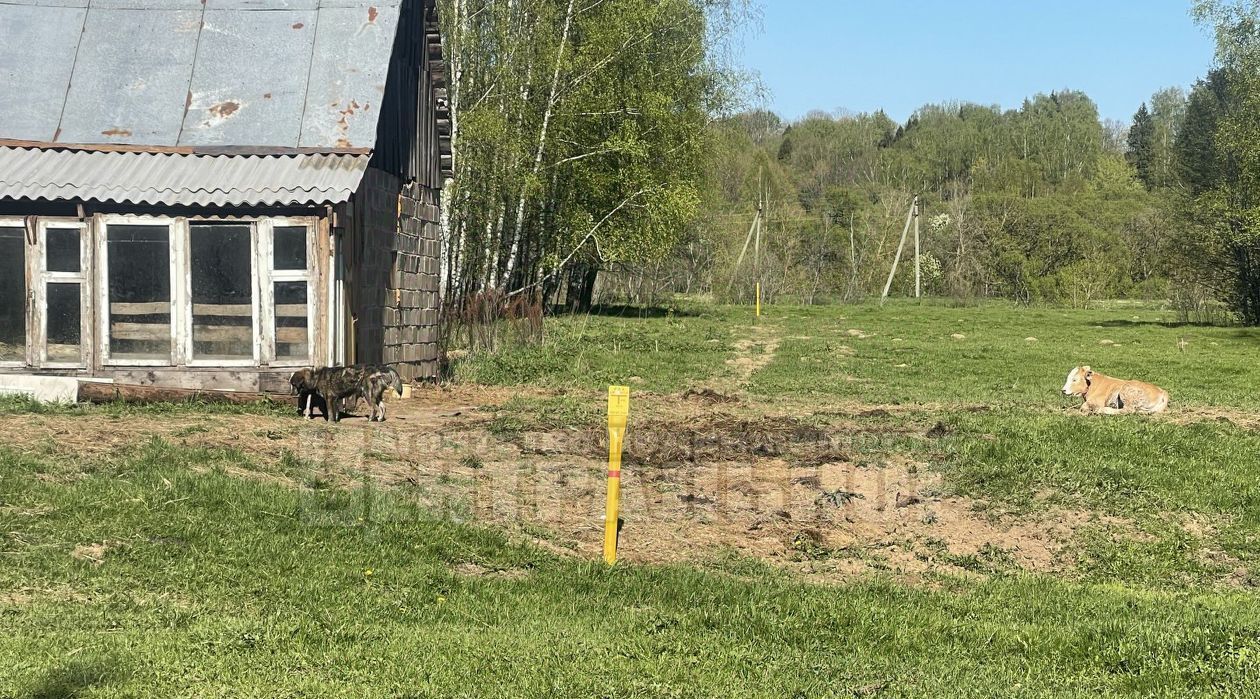 производственные, складские р-н Кардымовский пгт Кардымово ул Привокзальная 13 фото 9