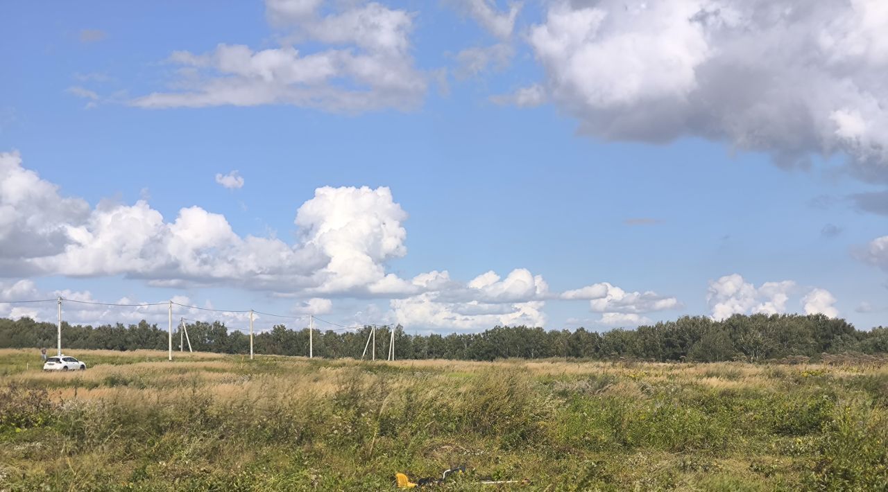 земля городской округ Истра д Карцево 97 фото 7