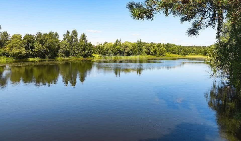 земля г Красногорск коттеджный посёлок Седьмая Миля, Береговая улица фото 5