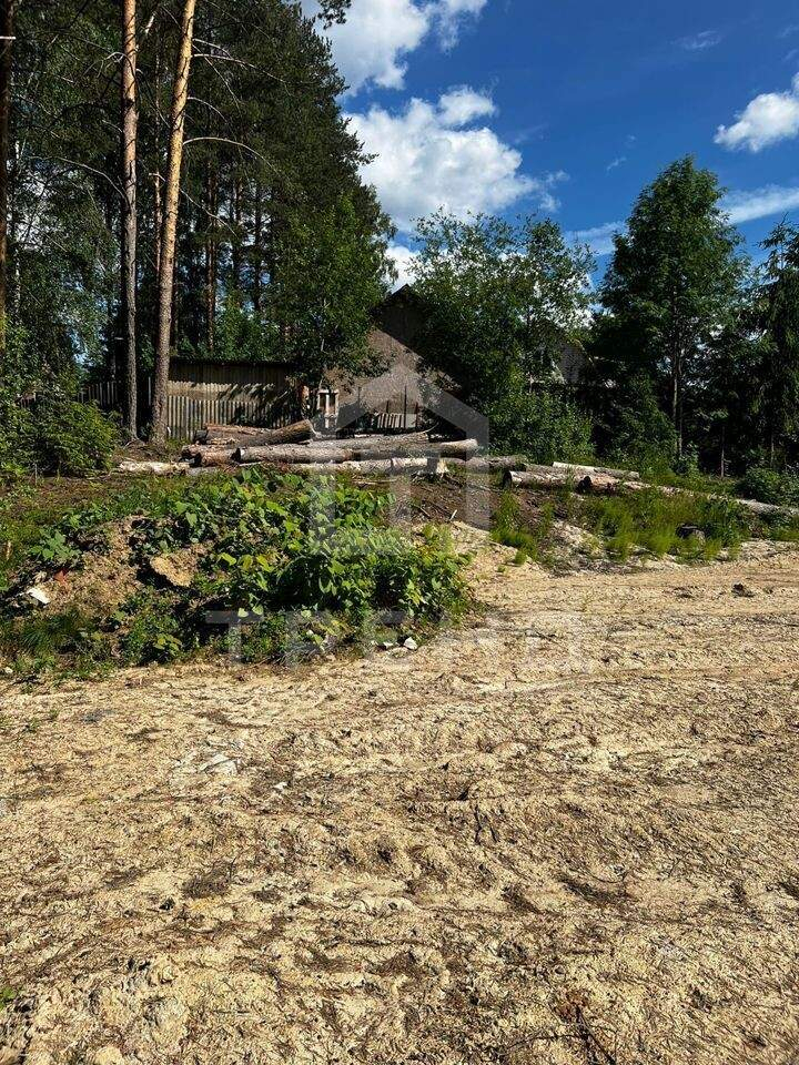 земля р-н Всеволожский д Васкелово ул Сосновая фото 1