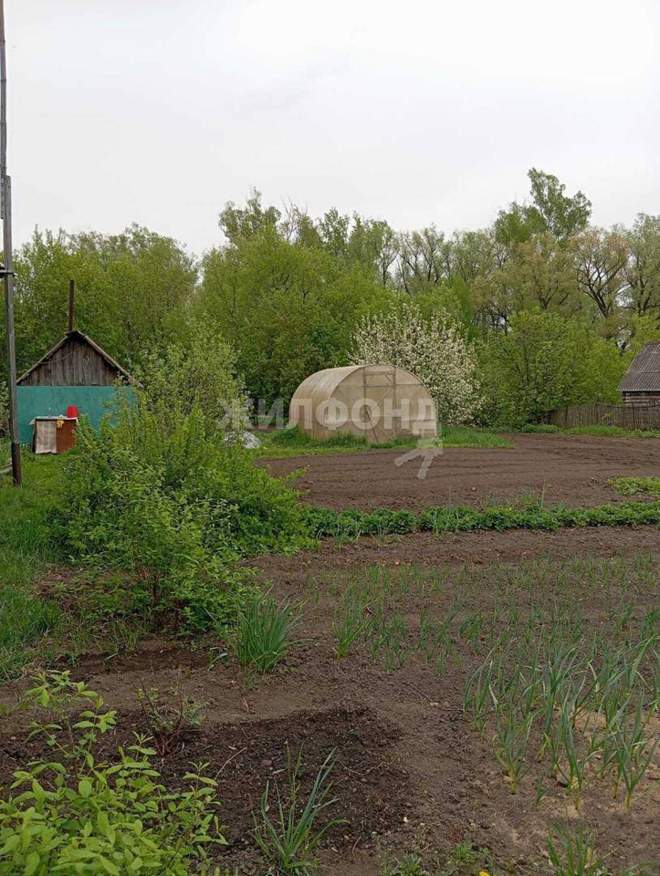 дом р-н Первомайский с Повалиха ул Школьная Повалихинский сельсовет фото 12