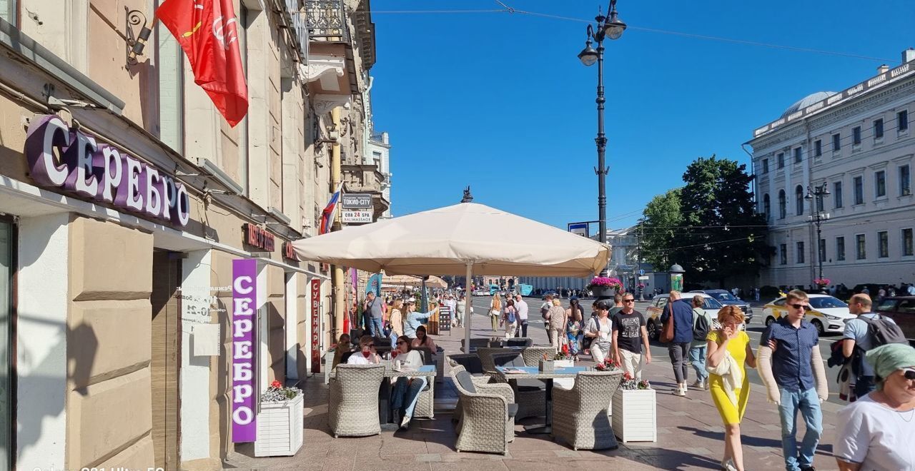 свободного назначения г Санкт-Петербург метро Гостиный Двор пр-кт Невский 60 фото 6