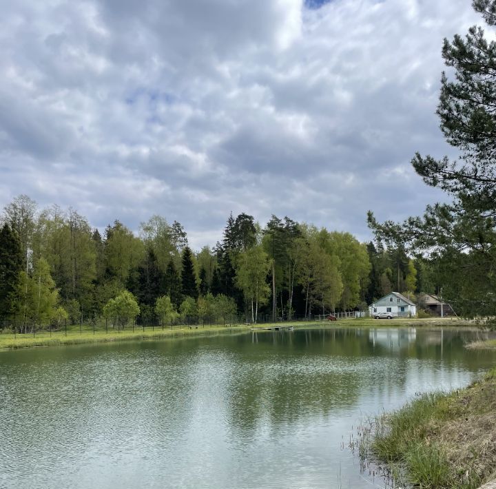 земля городской округ Егорьевск д Михали снт Лесное-7 фото 10