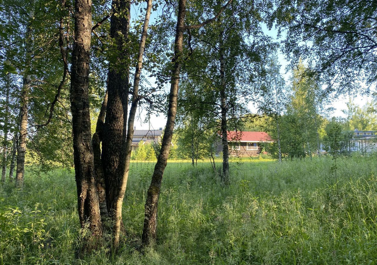 земля городской округ Рузский 63 км, дп. Мамошино Ком, Новопетровское, Волоколамское шоссе фото 4