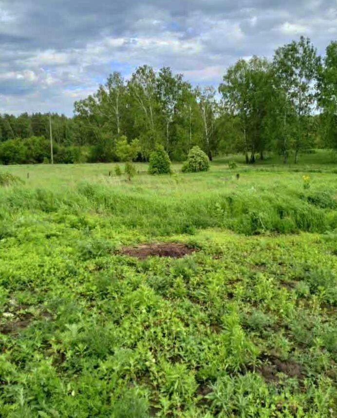 земля городской округ Чехов д Ходаево 44 км, Чехов, Симферопольское шоссе фото 3