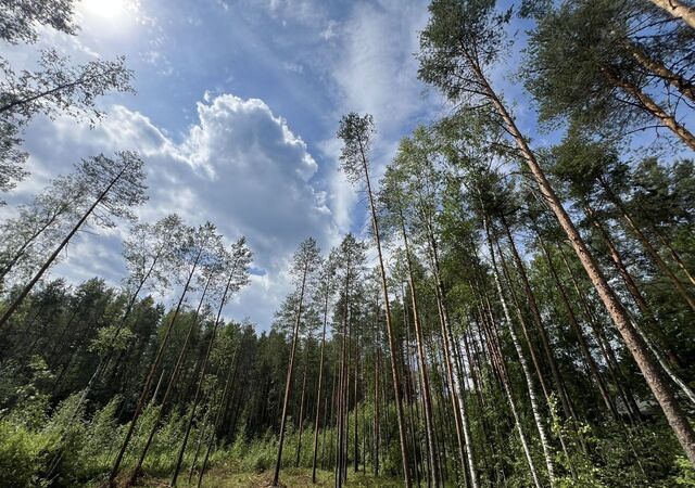 ул Лемболовская Трасса Сортавала, 9756 км, Куйвозовское сельское поселение фото