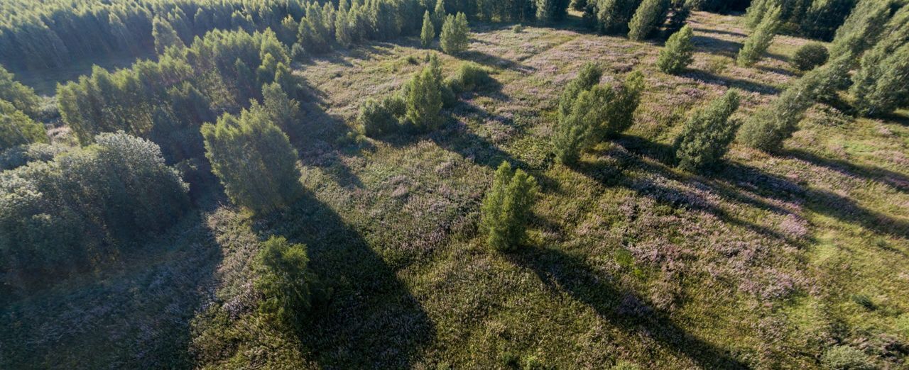 земля городской округ Дмитровский д Мелихово 9756 км, 86, Деденево, Дмитровское шоссе фото 11