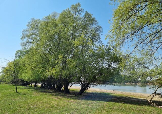 Львовское сельское поселение, Краснодар фото