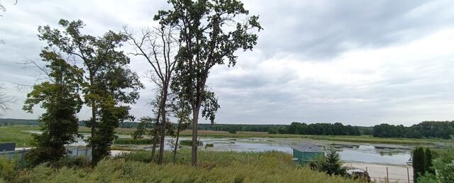 р-н Железнодорожный Рамонское городское поселение, ДНТ Кожевенный, Озёрная ул, Рамонский р-н фото