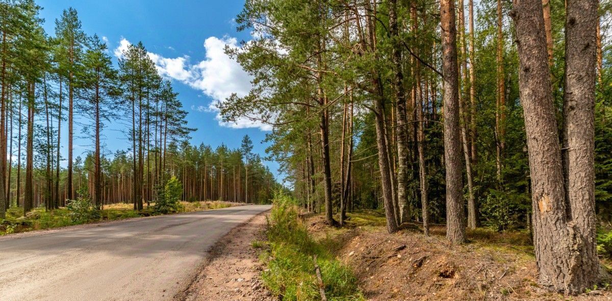 дом р-н Лужский снт Жемчужина Сертоловское городское поселение, 2, Всеволожский район, Северная фото 31