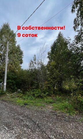 Шерегешское городское поселение, СНТ Шерегешевец фото