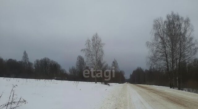 земля Воронцовская волость фото