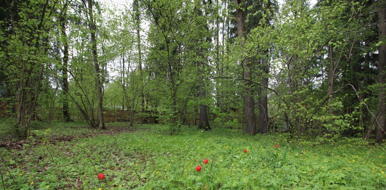 дом городской округ Истра д Манихино снт Снегири Нахабино, пер. Тихий фото 8