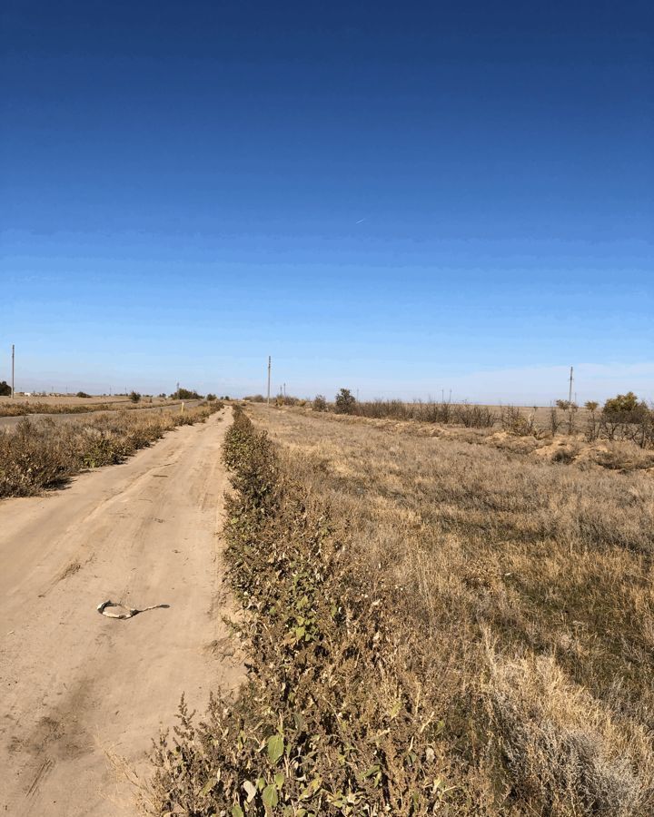 земля р-н Городищенский рп Городище Городищенское городское поселение фото 11