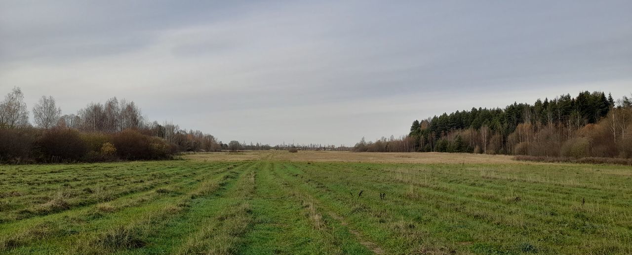 земля г Клин ул Центральная 9807 км, городской округ Клин, Решетниково, Ленинградское шоссе фото 6