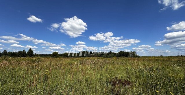 земля 32 км, 40, Бронницы, Рязанское шоссе фото