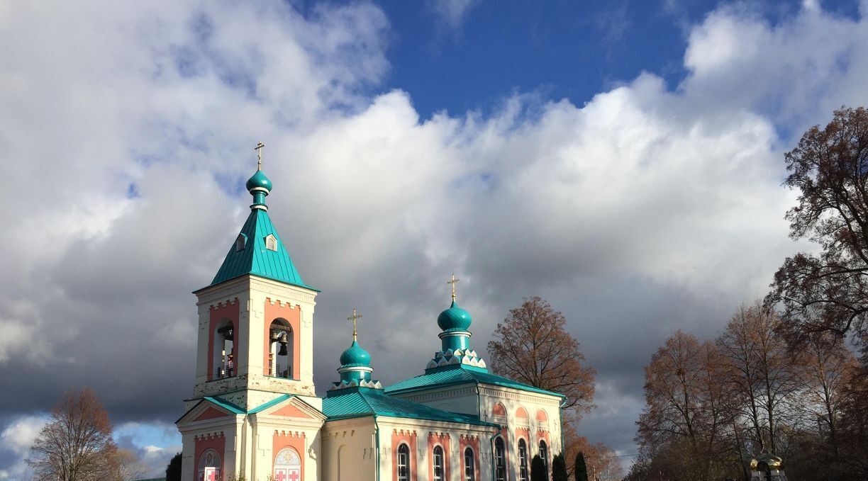 дом р-н Жуковский с Буриново с пос, ул. Вячеслава Киселева, Тростье фото 30