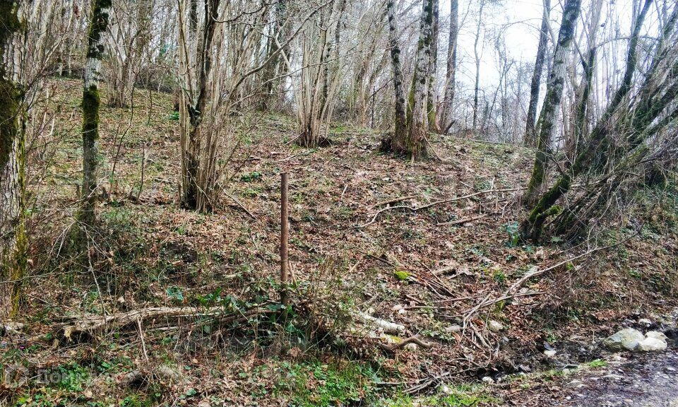 земля г Сочи с Илларионовка р-н Адлерский снт Родник-2 городской округ Сочи, 8 фото 1