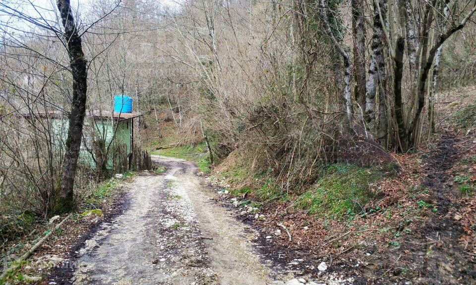 земля г Сочи с Илларионовка р-н Адлерский снт Родник-2 городской округ Сочи, 8 фото 7