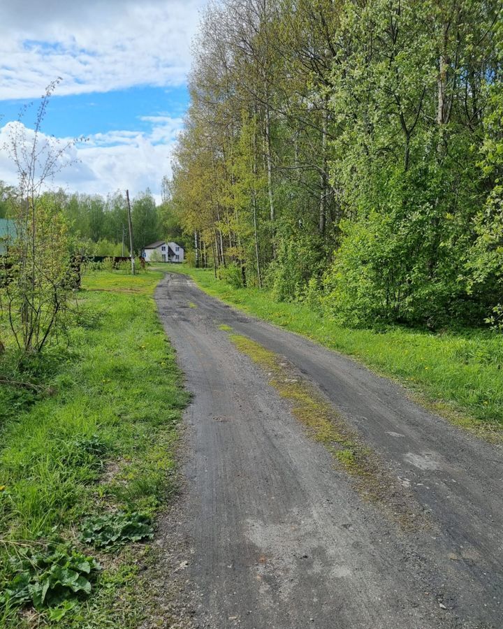 земля р-н Богородский п Буревестник сельский пос. Лисьи Ямки, Совхозная ул фото 10