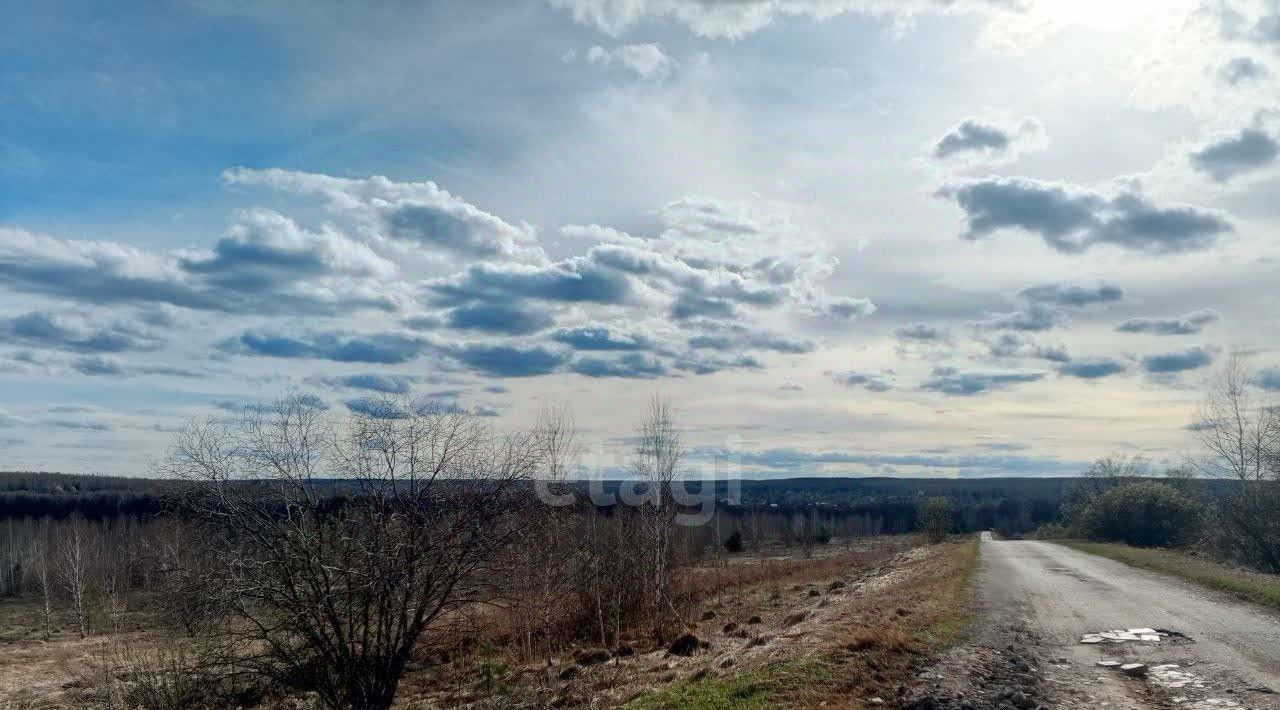 земля р-н Богородский д Касаниха фото 4