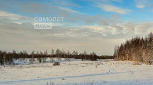 земля Шариповский сельсовет, Кушнаренково фото