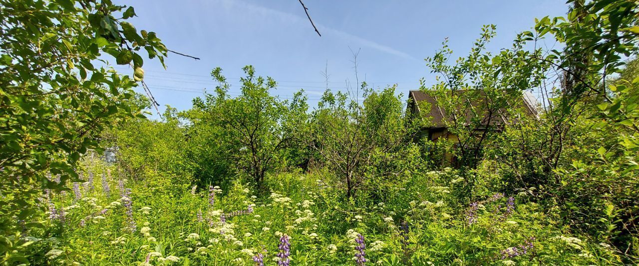 земля городской округ Наро-Фоминский Дружба-РУДН СНТ, ул. Церковная фото 7