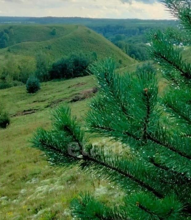 дом р-н Демянский д Пески ул Дорожная фото 3