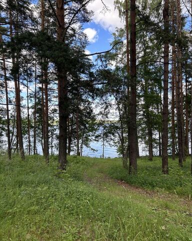 Трасса Сортавала, 79 км, Громовское сельское поселение, ДНП Надежда фото