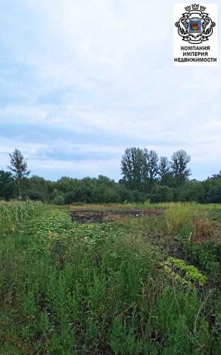 дом городской округ Шебекинский с Белянка ул Школьная фото 13