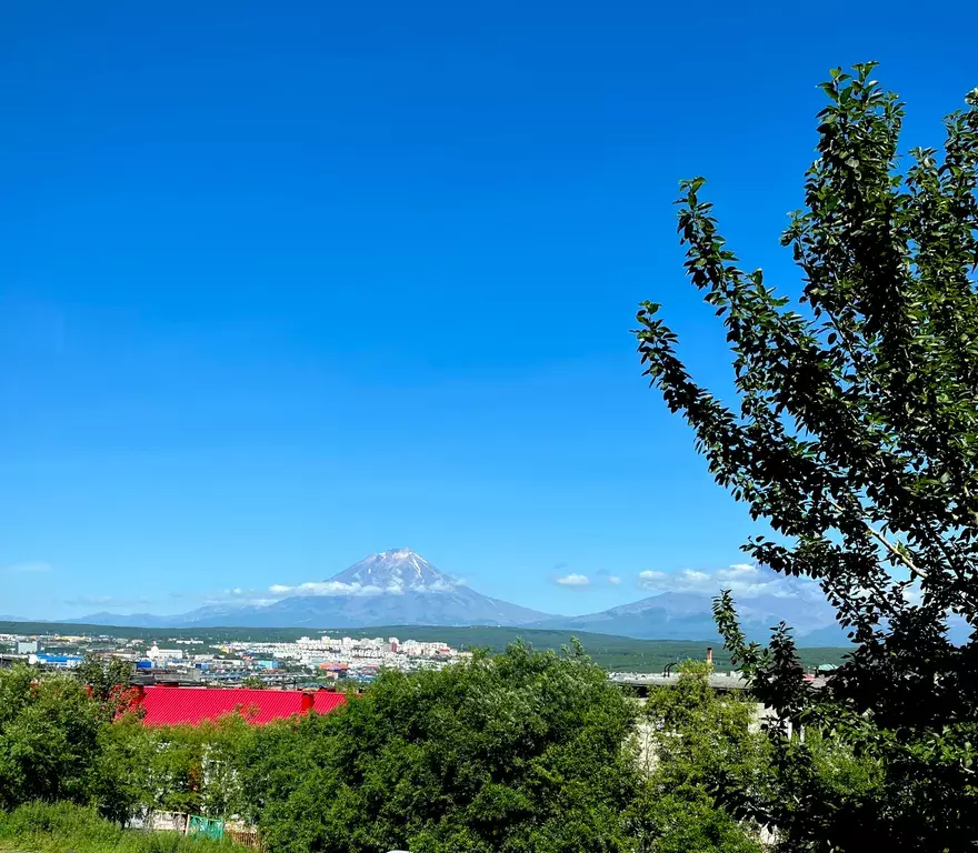 квартира г Петропавловск-Камчатский ул Автомобилистов 59 фото 9