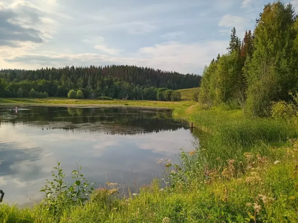 дом р-н Пермский д Горшки Зелёные Поля квартал, б/н, Усть-Качка фото 21