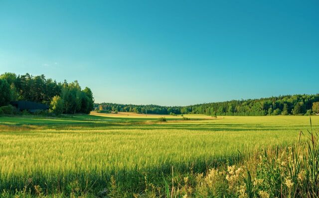 109 км, Уваровка, Минское шоссе фото